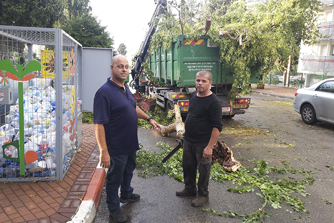 מסביב לשעון: על הפעילות של אגף חזות העיר במגדל העמק